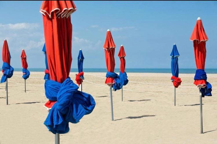 Studio Piscine Honfleur Deauville Équemauville Dış mekan fotoğraf